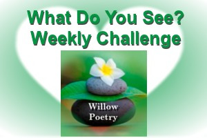 Weekly challenge